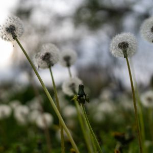 Sony-FE-24mm-f1.4-GM_12