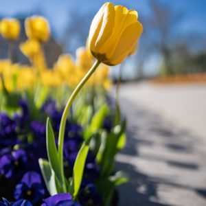 Sony-FE-24mm-f1.4-GM_18