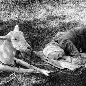 Vana (Momchilovtsi, Bulgaria, 2008)