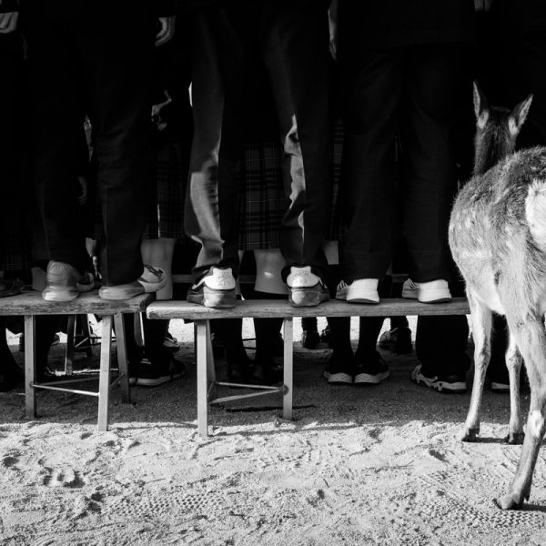 Yasen_Velchev_UNTITLED-ITSUKUSHIMA-2019 Yasen_Velchev_UNTITLED-ITSUKUSHIMA-2019