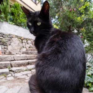 Laowa-9mm-f-2.8-Zero-D_15