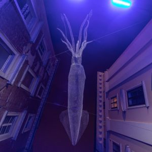 Canon-RF-16mm-f-2.8-STM_17