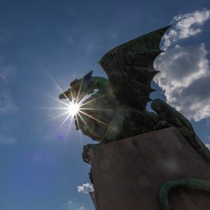 Canon-RF-16mm-f-2.8-STM_29