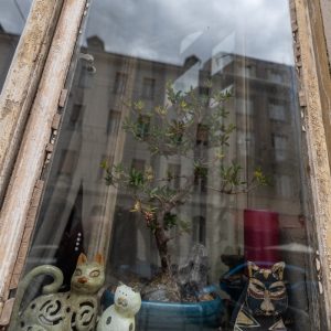 Canon-RF-16mm-f-2.8-STM_9