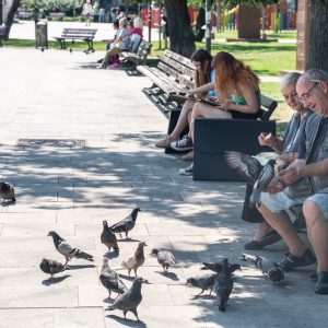 Nikkor-Z-24-70mm-f-2.8-S-21