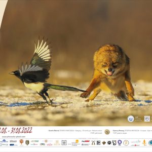 9th_IPSP_2022_poster_A3_H-7