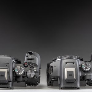 Canon-EOS-R7-Canon-EOS-R10_5