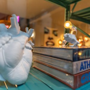 Sigma-I-Series-20-2_38