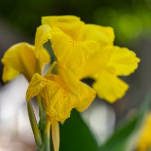 Sigma-I-Series-90-2.8_12