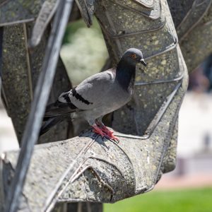 Sigma-I-Series-90-2.8_14