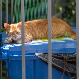 Sigma-I-Series-90-2.8_15