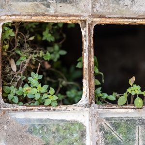 Sigma-I-Series-90-2.8_7