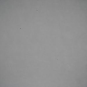 Sony-FE-50mm-f-1.2-GM-Vignet-16