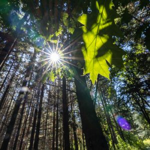 Sony-FE-14mm-f-1.8-GM_17