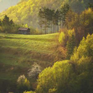 liubomir-momchilovsmall-2