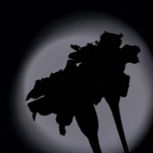 Canon-RF-100-500mm-F4.5-7.1L-IS-USM-10