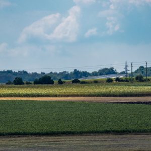 Canon-RF-100-500mm-F4.5-7.1L-IS-USM-6