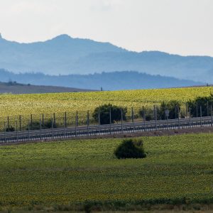 Canon-RF-100-500mm-F4.5-7.1L-IS-USM-7