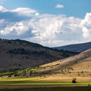 Canon-RF-100-500mm-F4.5-7.1L-IS-USM-8