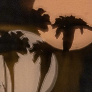 Canon-RF-100-500mm-F4.5-7.1L-IS-USM-9