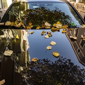 NIKKOR-Z-28-75mm-f-2.8-7