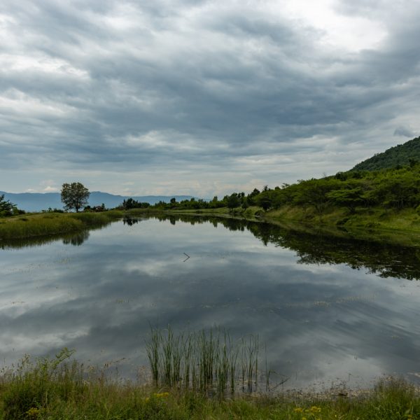 Canon-RF-24-50mm-F4.5-6.3-IS-STM_2