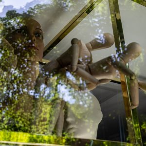 Canon-RF-24-50mm-F4.5-6.3-IS-STM_8