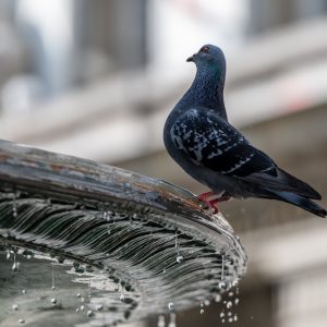 NIKKOR-Z-70-180mm-f-2.8_2