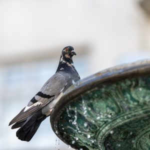 NIKKOR-Z-70-180mm-f-2.8_3