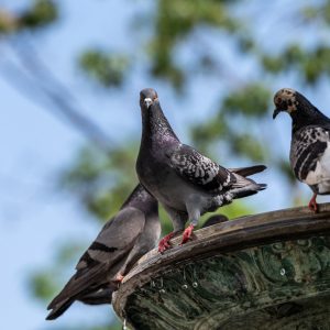 NIKKOR-Z-70-180mm-f-2.8_4