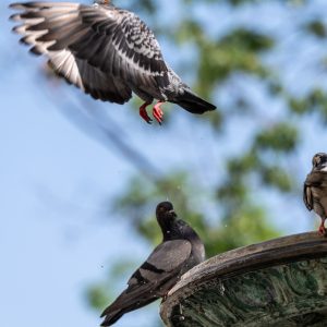 NIKKOR-Z-70-180mm-f-2.8_5