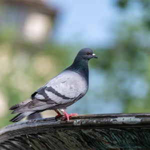 NIKKOR-Z-70-180mm-f-2.8_6