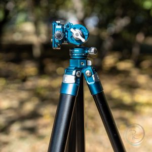 BENRO-CYANBIRD-TCBA15FS20PRO_11