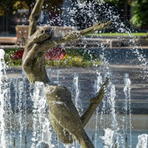 Tamron-17-70mm-f-2.8-AF-Di-III-A-VC-RXD-7