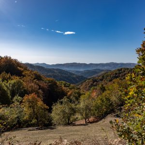 Canon-RF-24mm-f-1.8-10