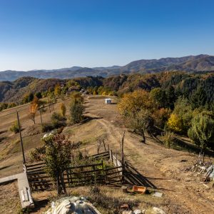 Canon-RF-24mm-f-1.8-13