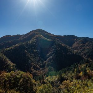 Canon-RF-24mm-f-1.8-15