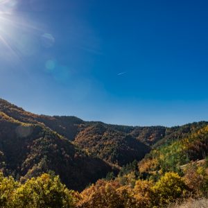 Canon-RF-24mm-f-1.8-16