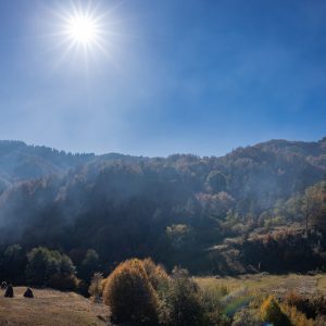 Canon-RF-24mm-f-1.8-17