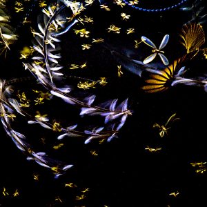 Intruder---Anirban-Dutta