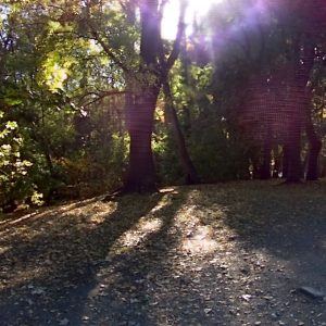 Lytro_Light_Field_Camera_11