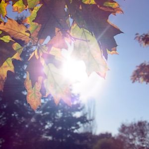 Lytro_Light_Field_Camera_12