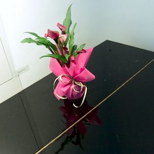 Lytro_Light_Field_Camera_16