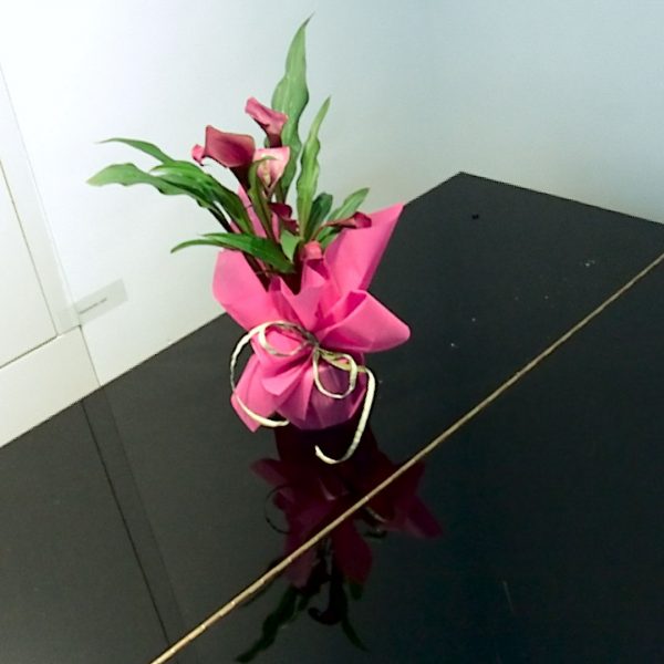 Lytro_Light_Field_Camera_16