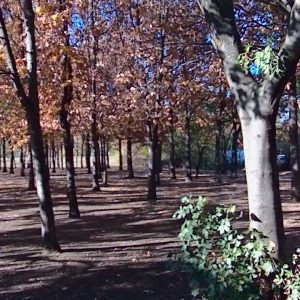 Lytro_Light_Field_Camera_18