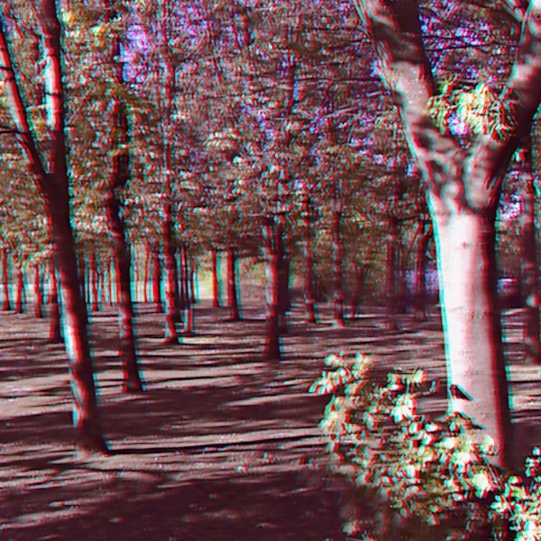 Lytro_Light_Field_Camera_19