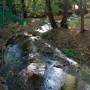 Lytro_Light_Field_Camera_21