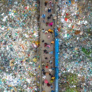 Walk-Through-Trash---Jahid-Apu