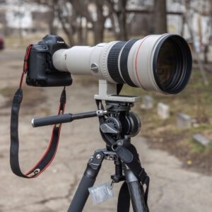 BENRO-MAMMOTH-TMTH44C-WH15-Wildlife_5