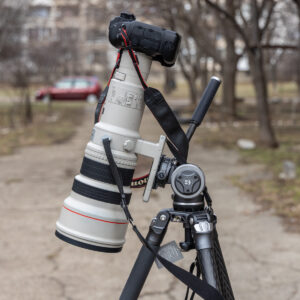 BENRO-MAMMOTH-TMTH44C-WH15-Wildlife_6